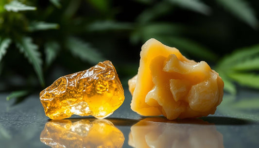 Shatter vs. Wax: Cannabis Concentrate Comparison