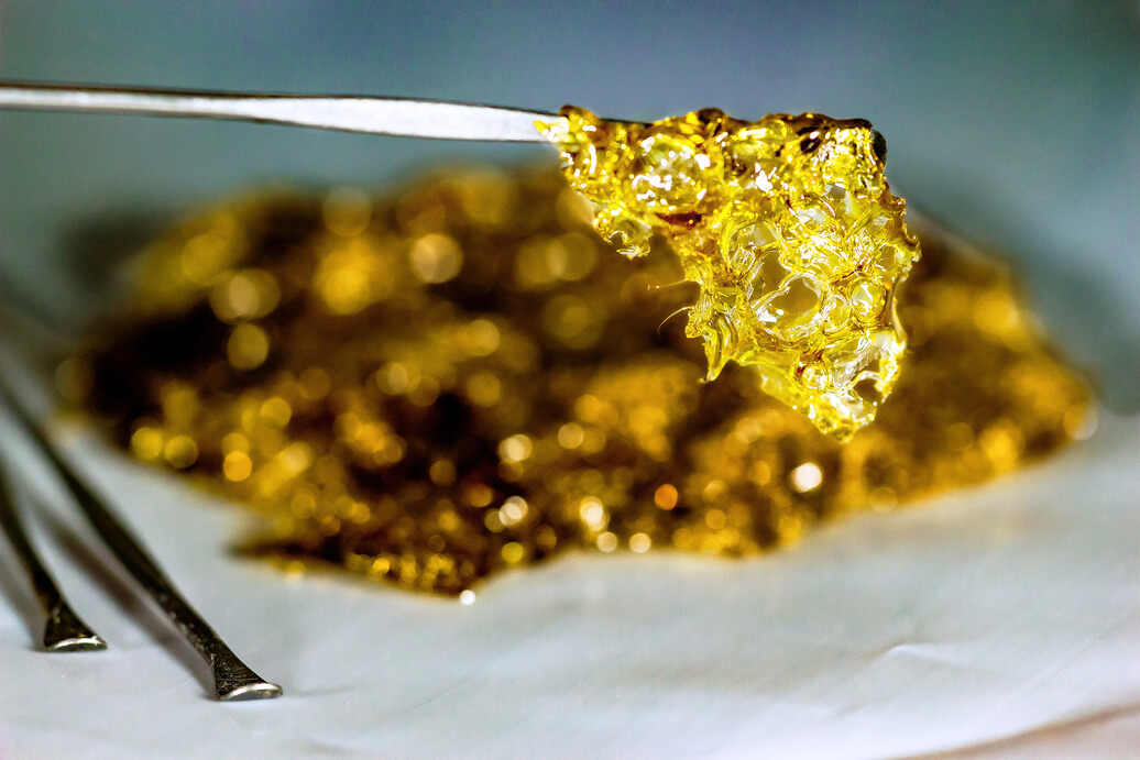 A Guide for Extracting BHO (Butane Hash Oil) Extraction