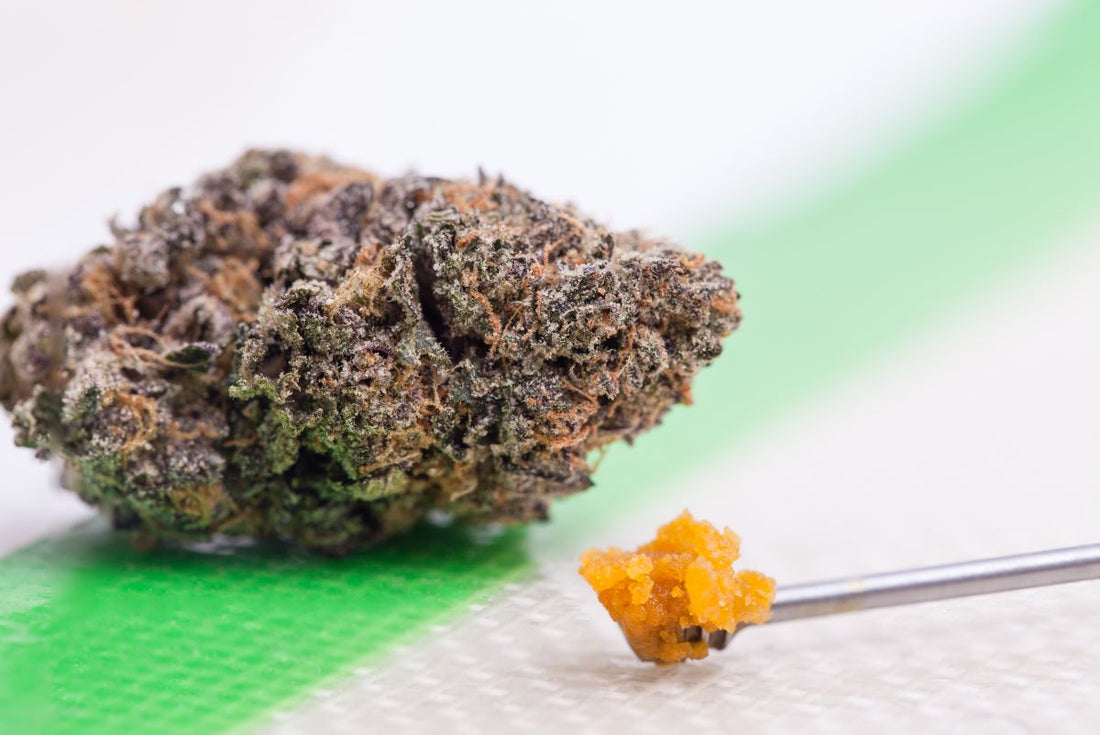 Dabs vs. Flower: Which One is Right For You?