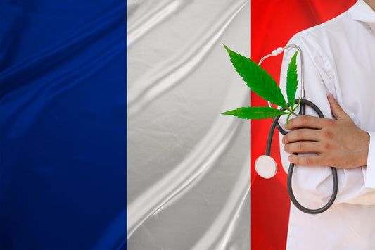 Is Marijuana Legal in France? Legislation, History, and more