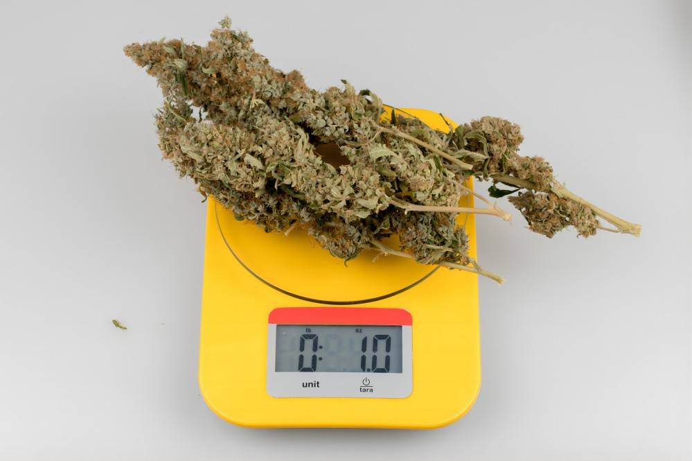 Weed Measurements: How Much is a Gram, Eighth, Quarter, Ounce, Zip of Weed - G2VAPE