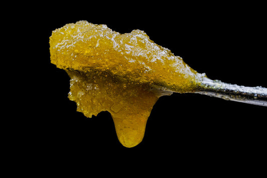 What is Live Resin? Benefits, Types, How to Use It, and More